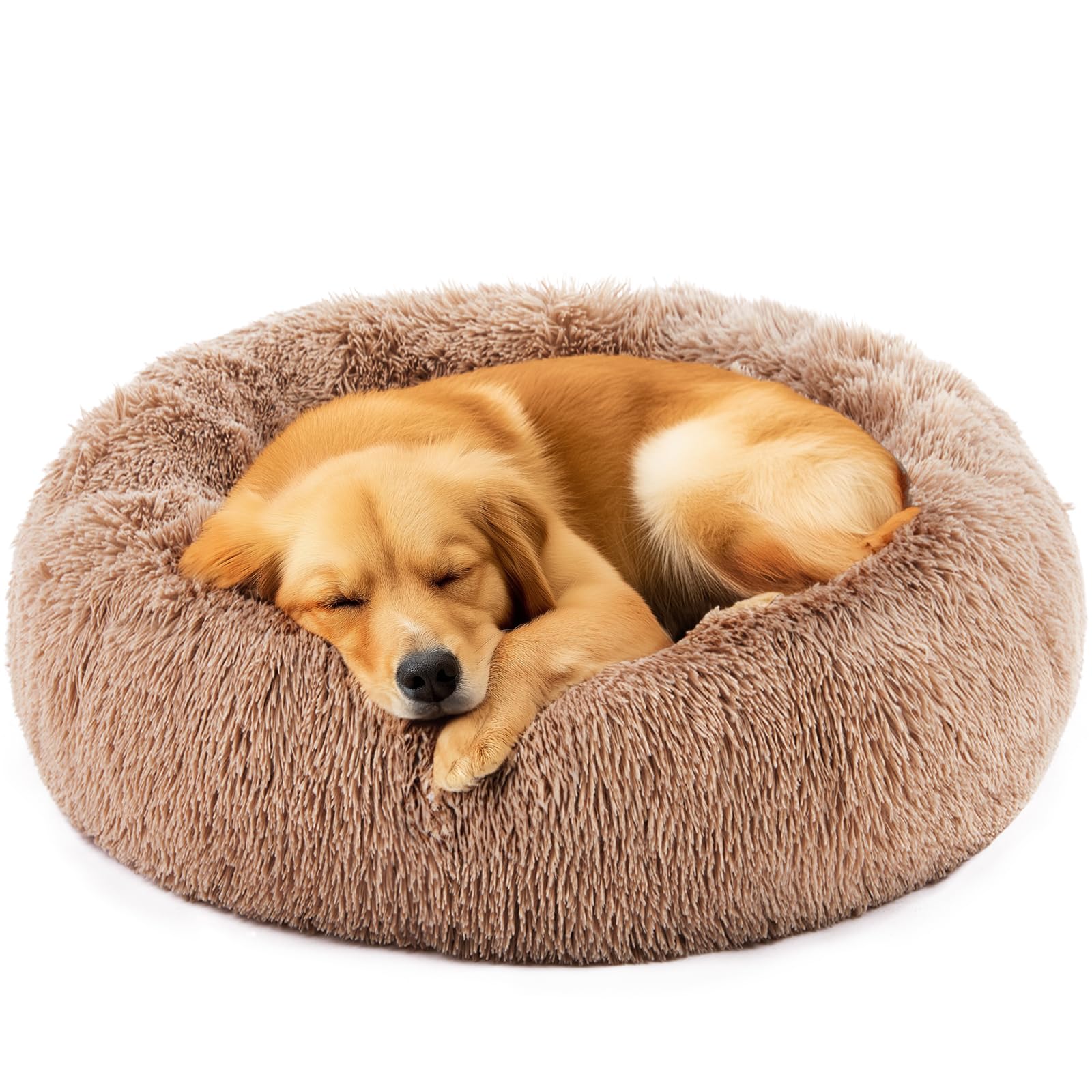 DUMOS Donut Dog Bed