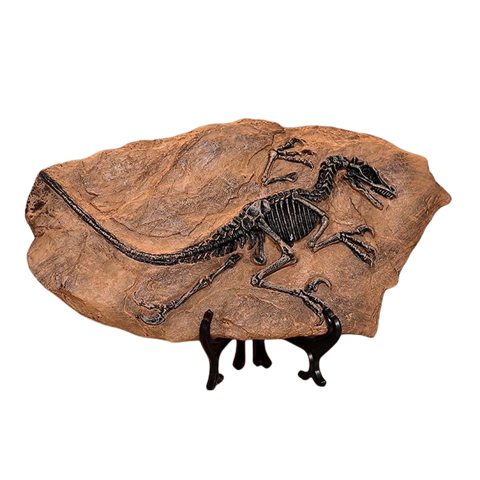 Estatua de fósil de Dinosaurio, Figuras de fósil de Dinosaurio Tyrannosaurus Rex de Resina, Escultura de paleontología Retro, Adornos creativos de artesanía de Resina, Modelo de Esqueleto(A)