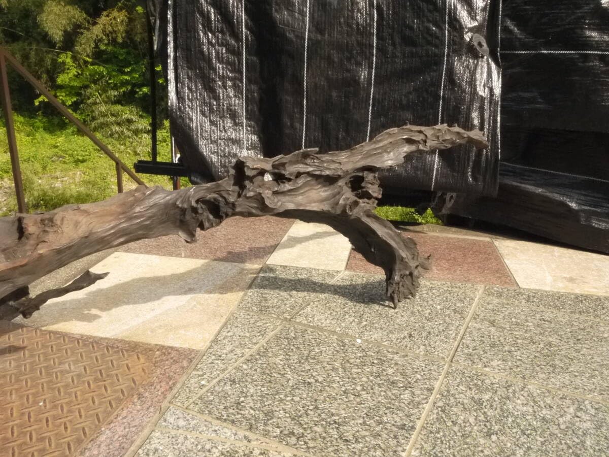 Amazon.co.jp: 【TS40521】天然木屋久杉？？オブジェ流木結界欄間長さ 