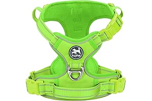 PoyPet No Pull Reflective Lime Green Dog Harness(Large)