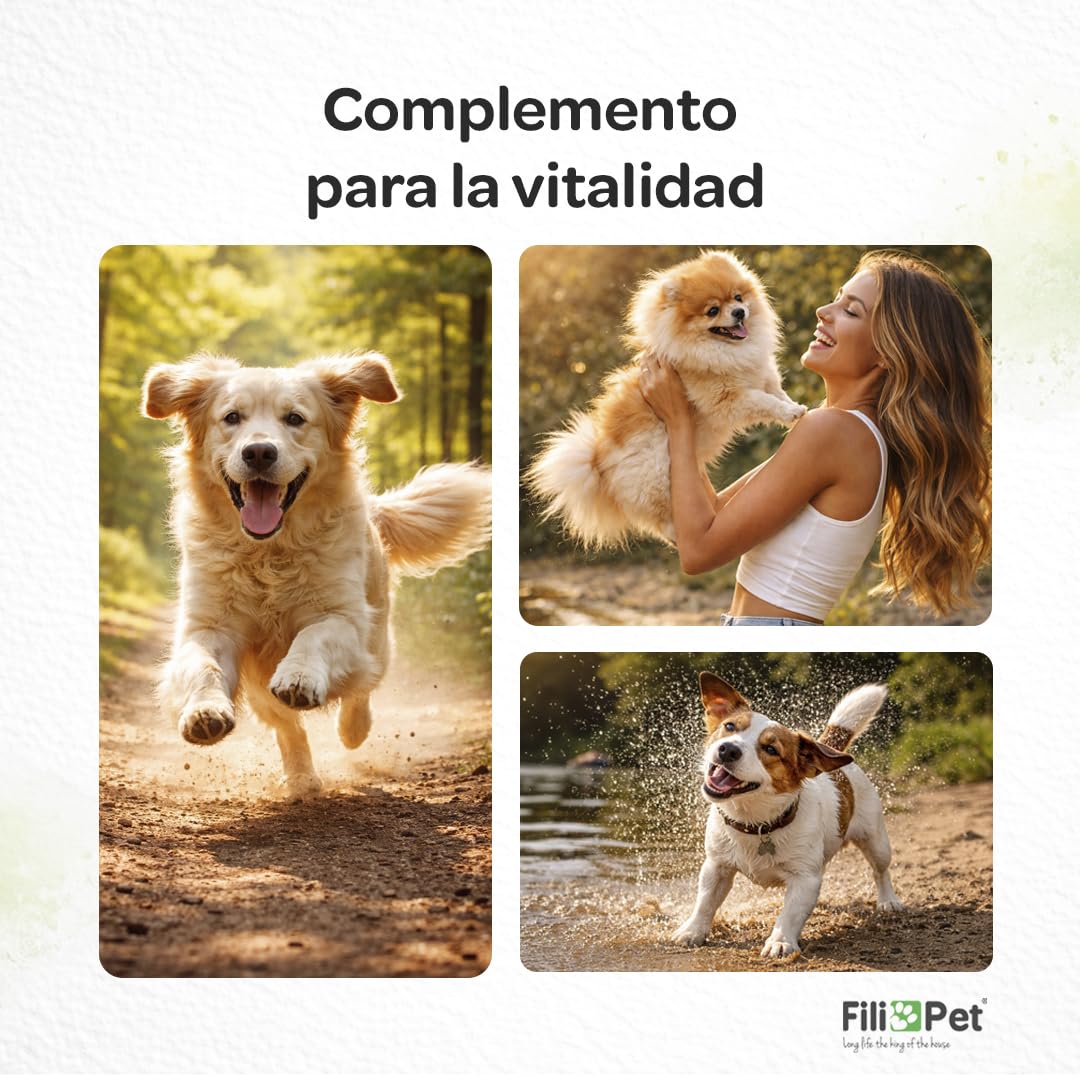 Multivitaminas y minerales para Perros, 120 masticables Sabor Ternera | con glucosamina, probióticos y enzimas digestivas | Apoyo Articular, digestivo e inmunológico