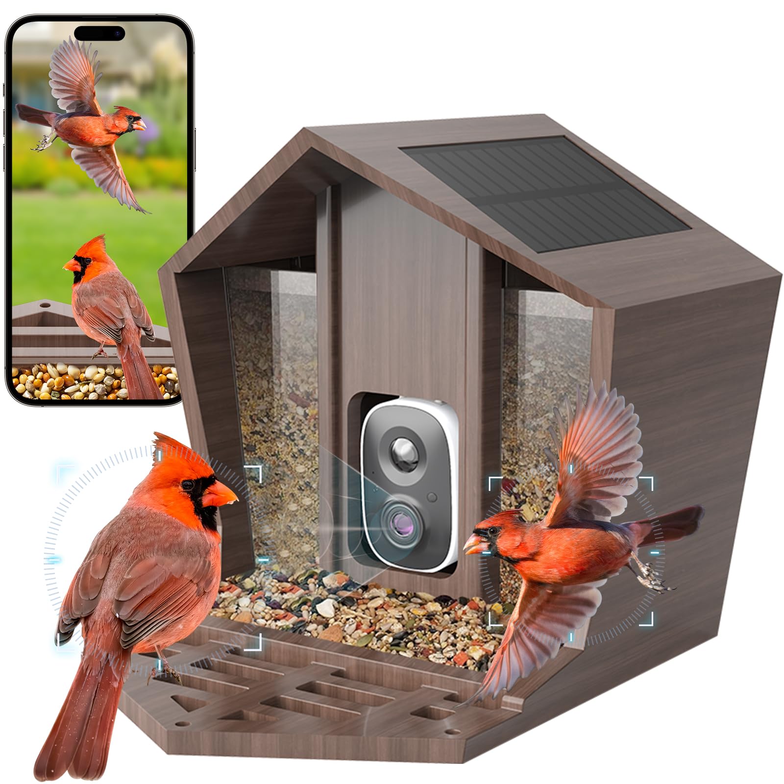 Pro Smart Bird Feeder with Camera Solar Powered, 2K HD AI Identifies 15000+ Birds Auto Capture?Real Time Video 160° Live Stream Camera and Notifications?Wireless Outdoor Camera Gift for Bird Lovers