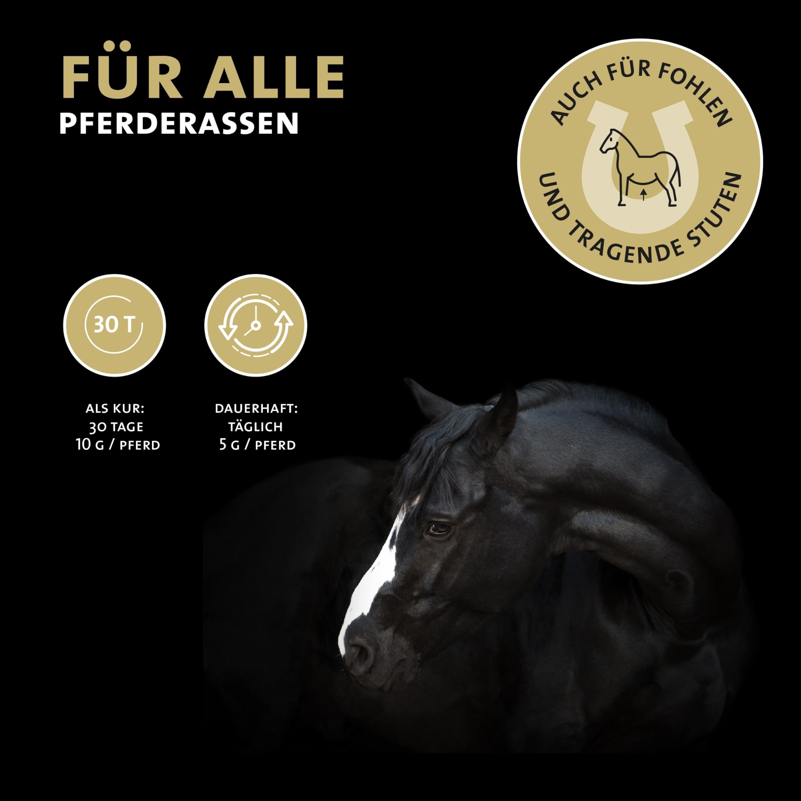 Peticare Detox-Mix Pulver für Pferde | Unterstützt Leber & Nieren, Darmfunktion | Natürliche Entgiftung für Pferde & Ponys | Pflanzliche Inhaltsstoffe, MSM & Vitamin B6 | petHorse Health 4604