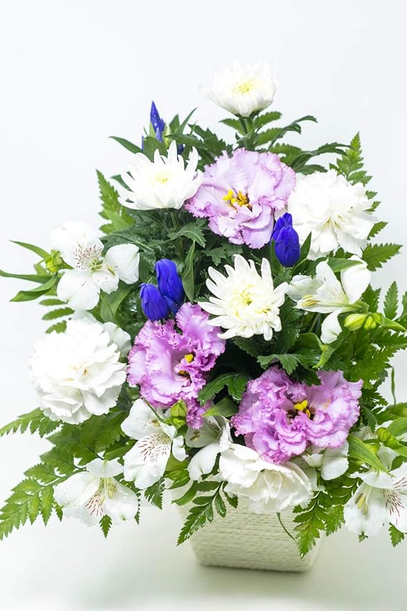 1845円 人気の製品 ペット お盆 初盆 お供え 花 お悔やみ 虹の橋 生花 お