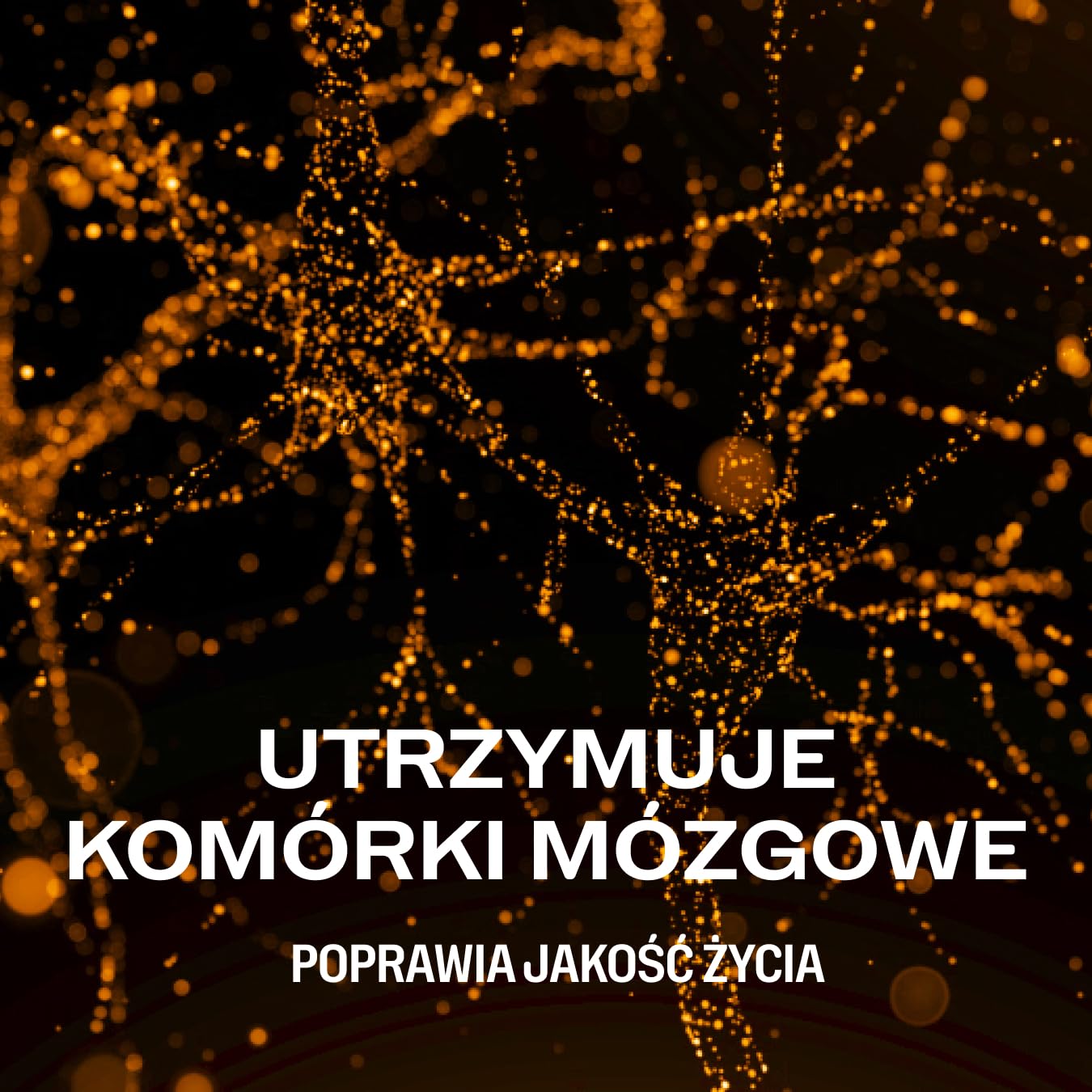 Vimergy Brain Body Memory* – 8 działań wspierających mózg – Z magnezem, cytykoliną i witaminą B12 – Czysta, szybko wchłanialna formuła – Bez GMO i glutenu