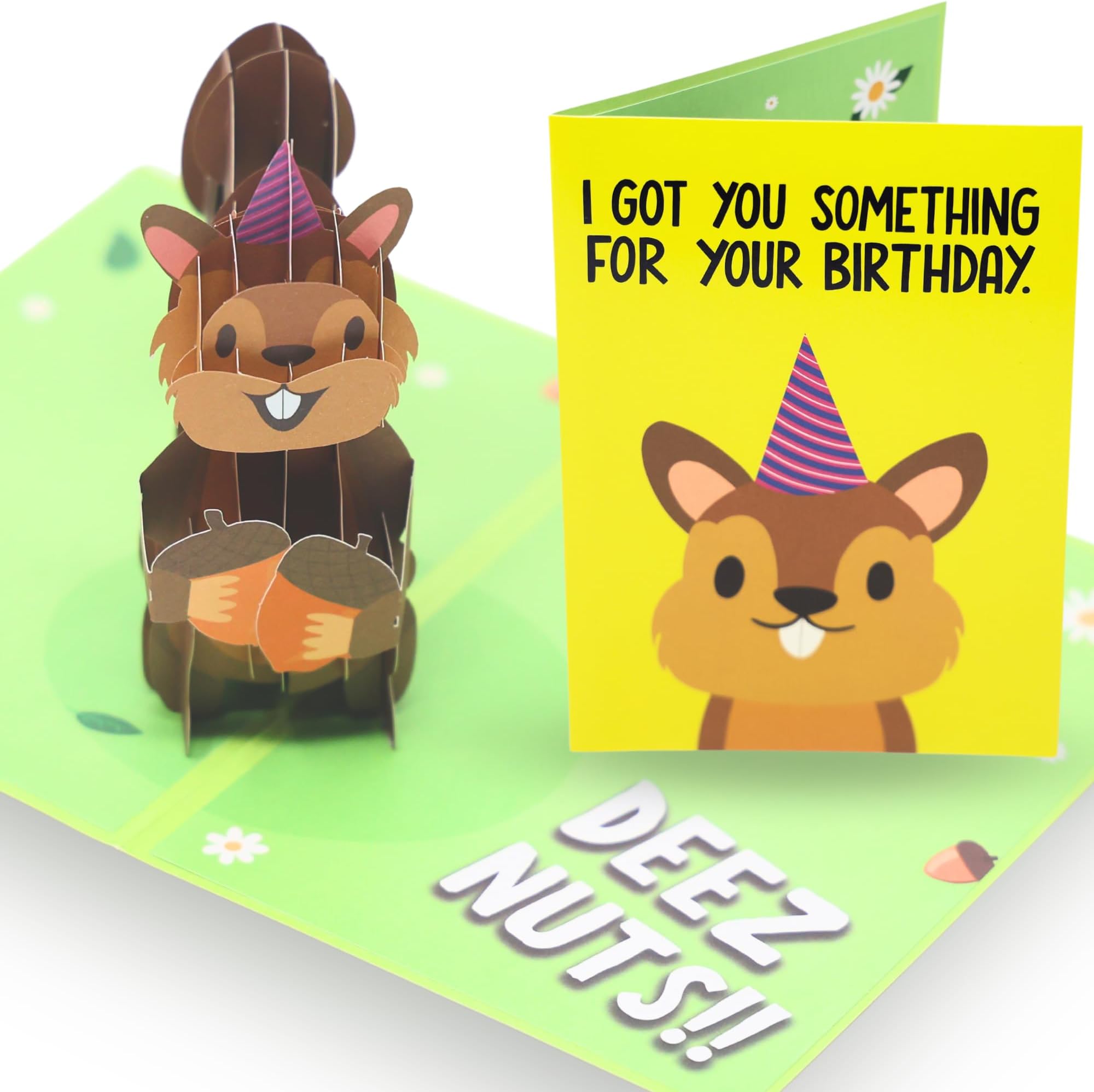 Deez Nuts Funny Birthday Card - 3D Pop Up Squirrel 5x7 Inch - Unique Pop Up Cards for Men and Women - Birthday Gift - Humorous Greeting Card for All Ages