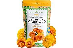 HOME GROWN Marigold Seeds Bulk Mix - 5600+ Crackerjack Marigold Flower Seeds
