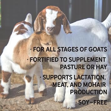 New Country Organics | Goat Feed 40lb | for All Stages of Goats | Daily Goat Food | 15% Protein | Soy-Free, Certified Organic and Non-GMO, Made in North America | 40lbs Bag