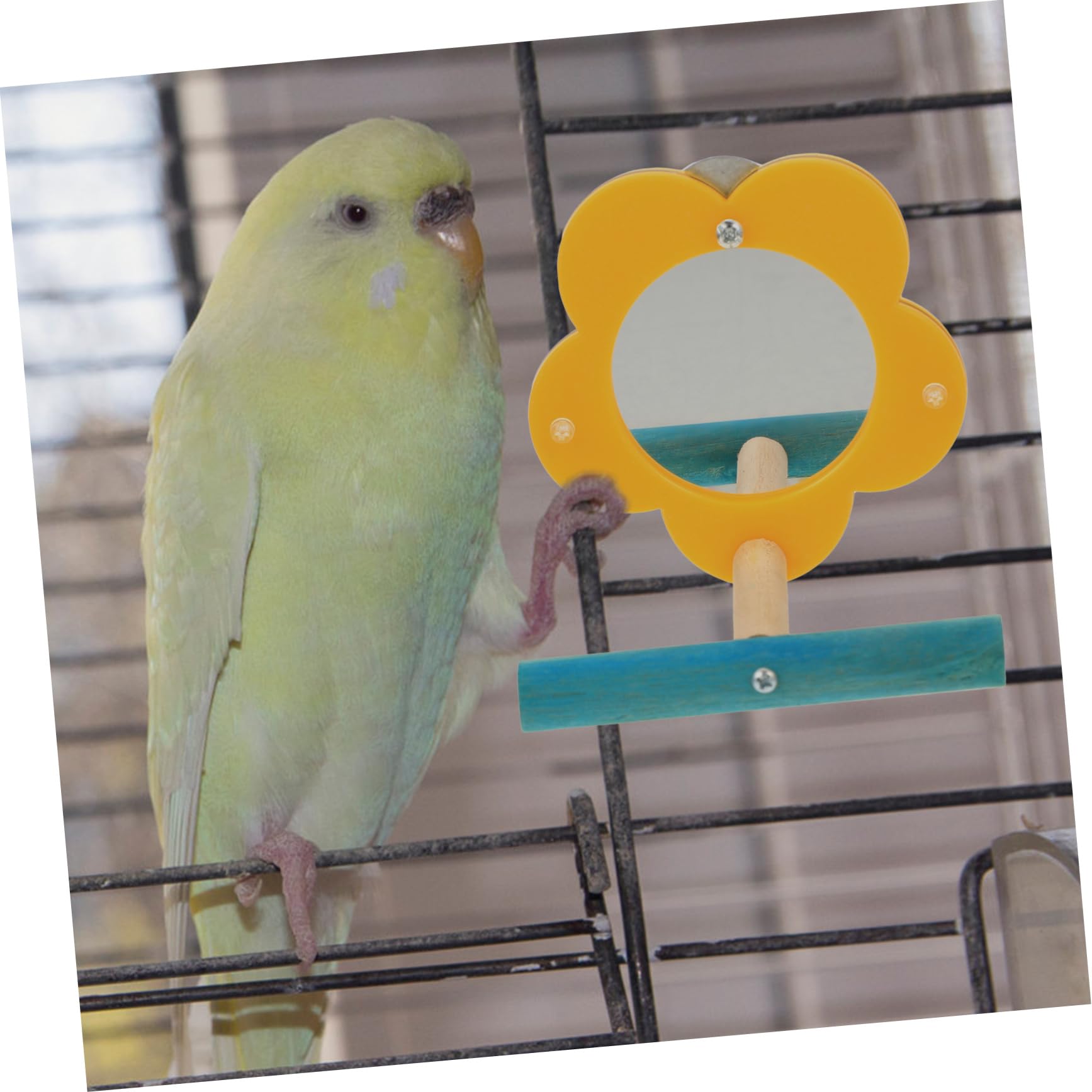 BESPORTBLE 5piezas Espejo Interactivo De Acrílico para Aves Juguete Educativo para Entrenamiento De Loros para y Decorar Jaulas De Aves
