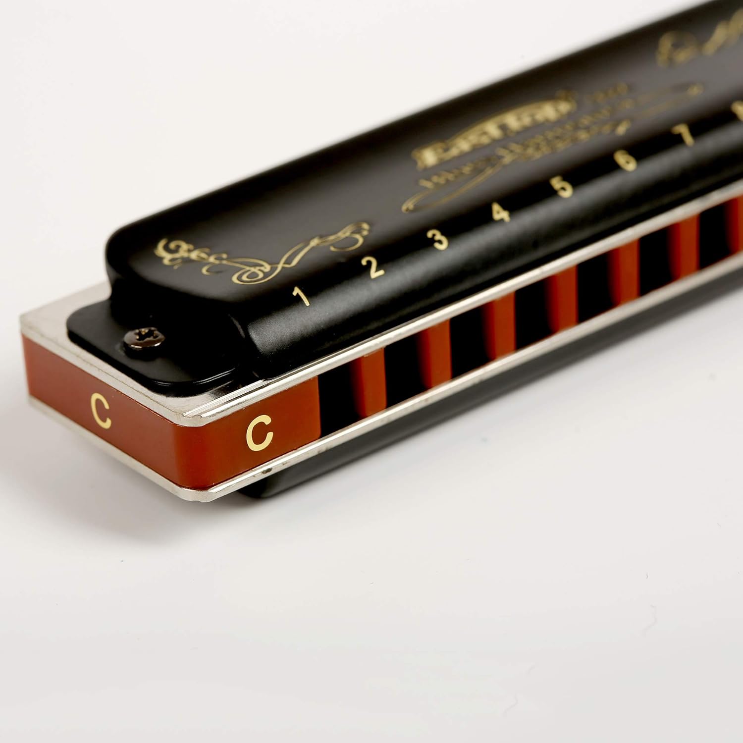 Diatonic Blues Harmonica 10 Holes Blues Harmonica 20 tones black T008K with Case，More Professional Harmonica for Beginner ，Students，Adults and Professional Player (Key of C)