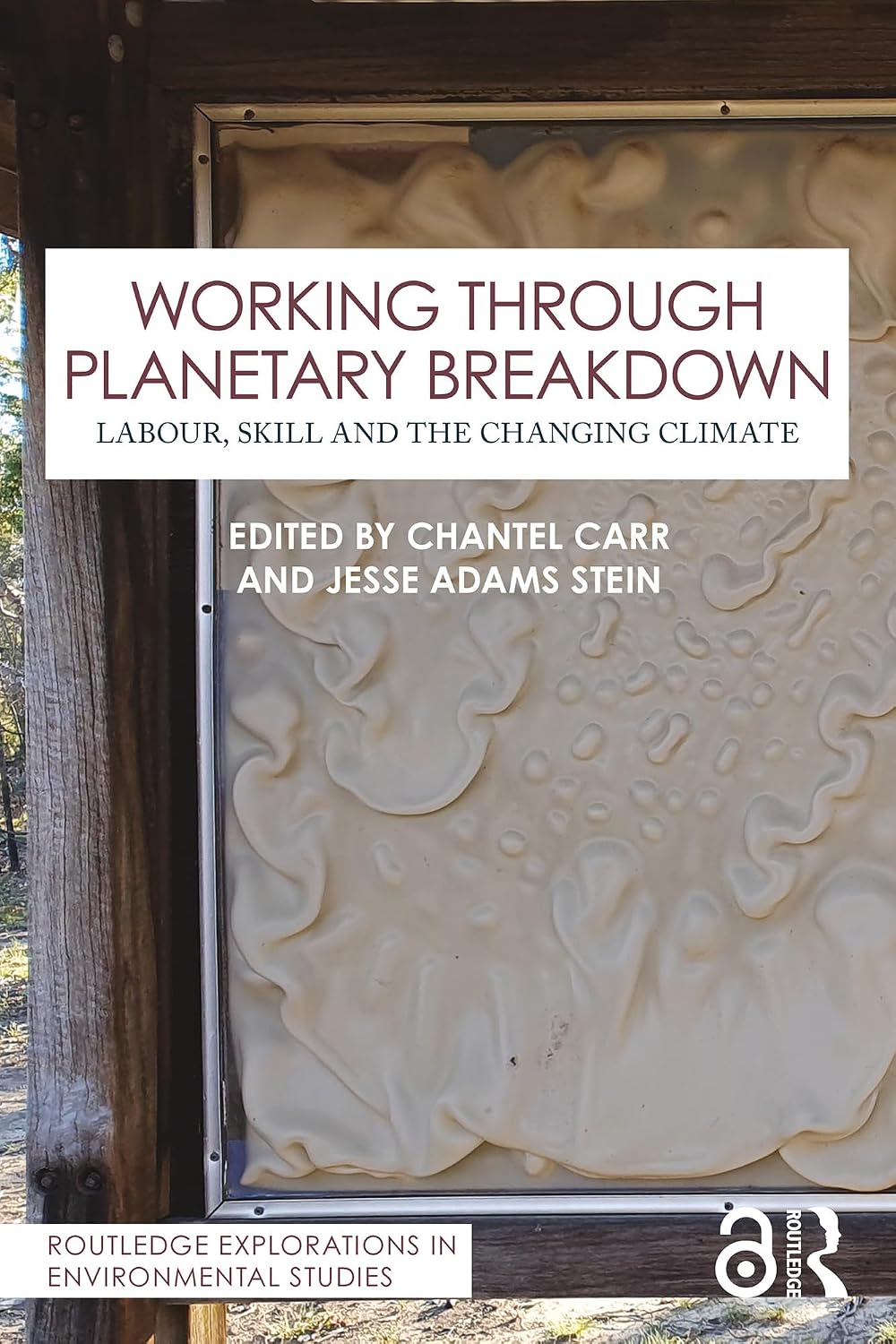 Working Through Planetary Breakdown: Labour, Skill and the Changing Climate (Routledge Explorations in Environmental Studies)