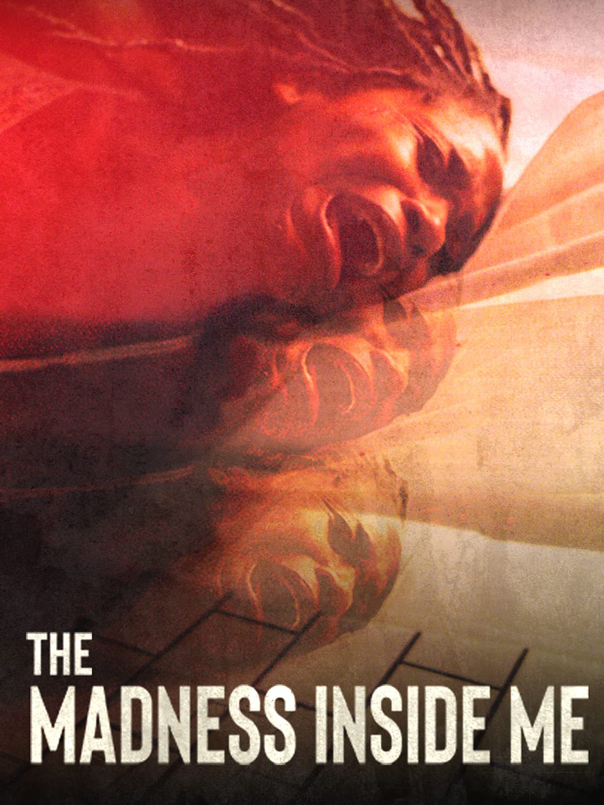 The Madness Inside Me