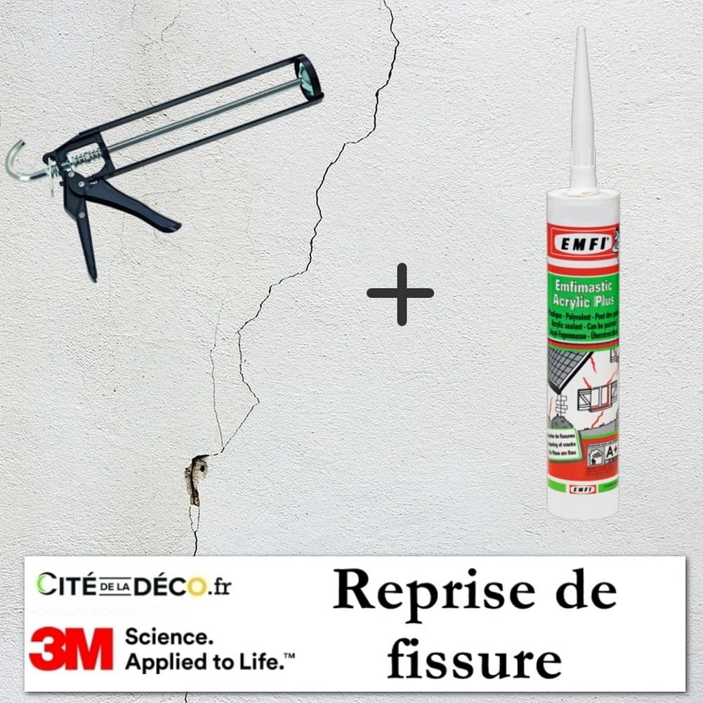 Lote de 12 masillas acrílicas blancas para juntas de rodapiés, para interior y exterior, se puede pintar. Fabricación francesa para MadeInNature (EMFIMASTIC Acrílico Plus).
