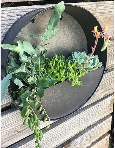 Miniatura 9 de Modern Home - Maceta redonda para suculentas de acero galvanizado  zinc para montaje en la pared, para interiores y exteriores, recipiente para