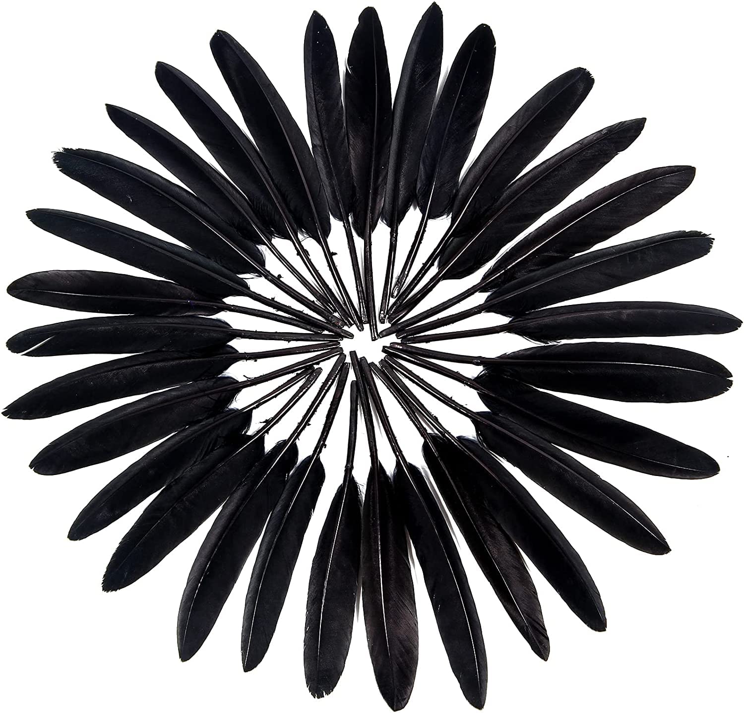 Tiptop Decoration Natural Dyed Premium Goose Feathers Quills (10 Pieces) (10-15 cm) (Raven Black) 1
