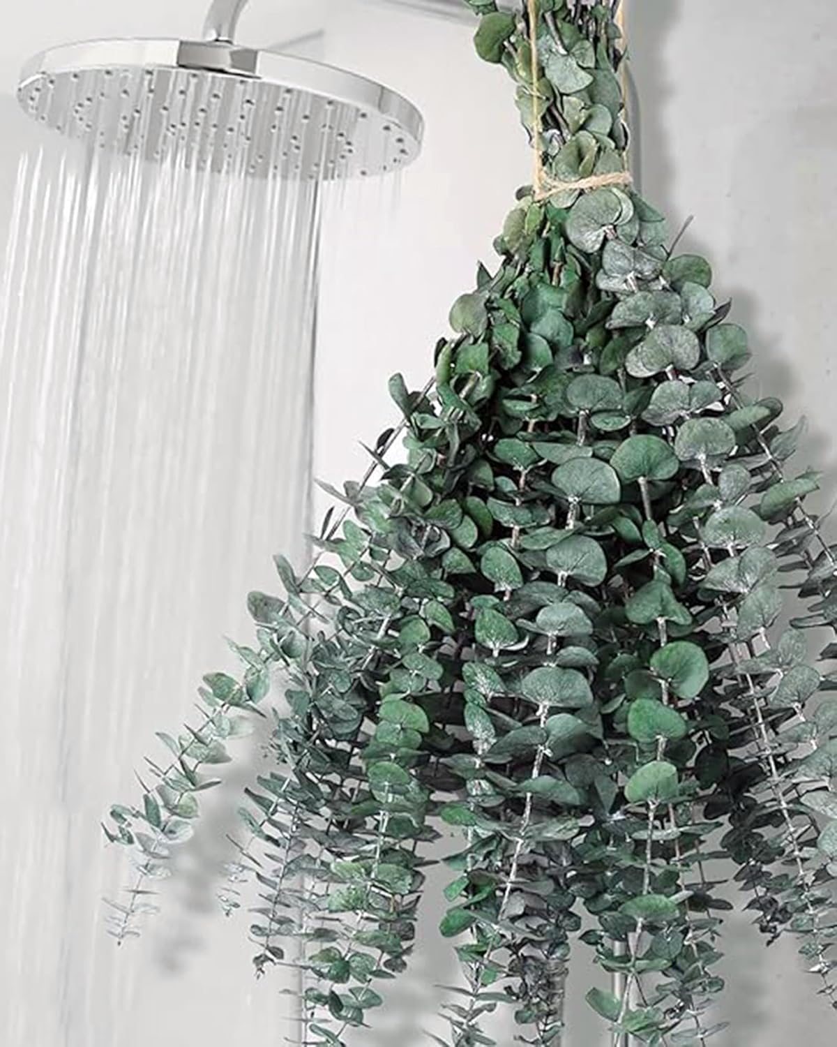 ROYAL SAPPHIRE 6 Pcs Preserved Dried Eucalyptus Stems, 17" Natural Branches for Shower Hanging, Real Dried Flowers for Vase Filler, Fresh Eucalyptus Leaves, Garland, Wedding, DIY (Green-6Pcs) 1