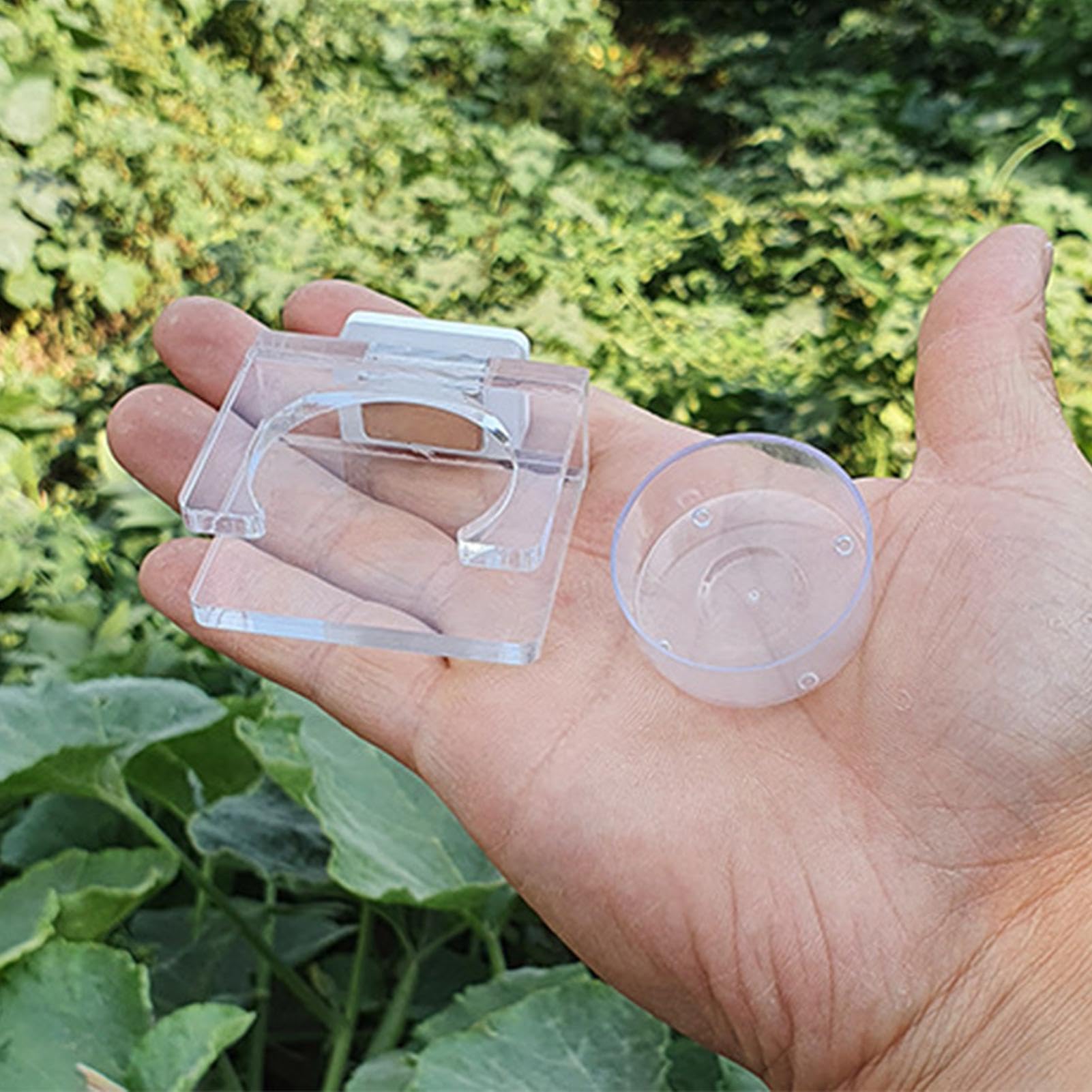 Arantula Futternapf Transparent - Magnetischer Wassernapf Für Spinnen & Reptilien