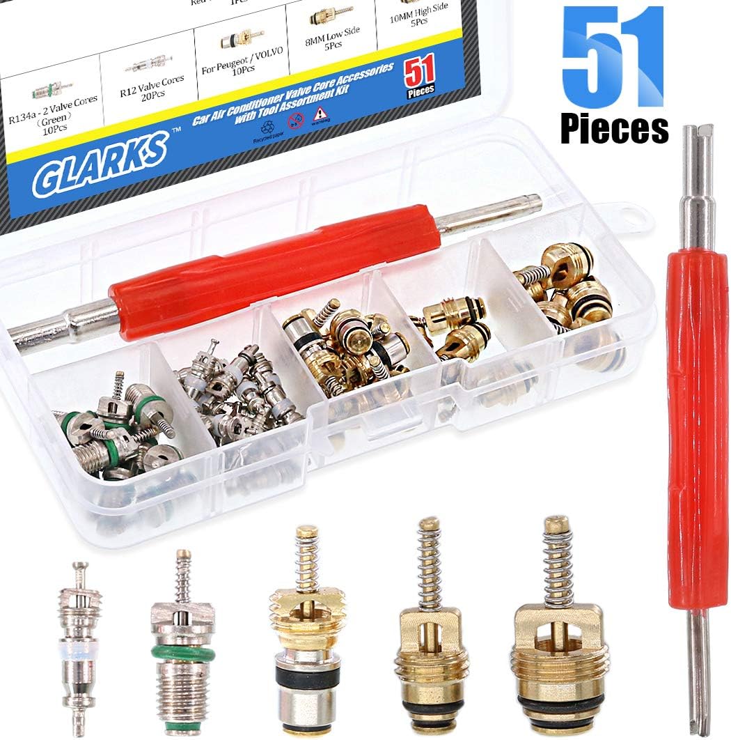 Glarks 51Pcs Car Air Conditioner Valve Core Schrader Valve