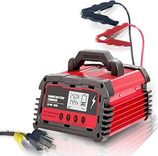 Treeligo Car Battery Charger 12 V /24 V, 25/10/5 AMP Fully Automatic Smart Lead-Acid Battery Charger, AGM Gel Circulation Trickle Maintainer Desulfator Advanced Diagnostic Testing Pulse Repair