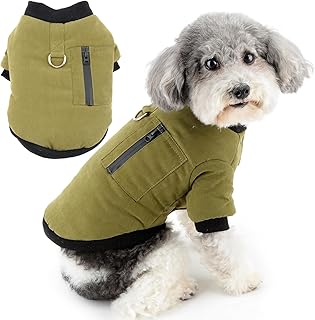 Zunea Dog Winter Coats for Small Dogs Soft Warm Fleece Lined Puppy Clothes with Leash Ring Cold Weather Pet Girl Boy Apparel Windproof Coat with Zipper Pocket Doggie Chihuahua Clothing Green XXL
