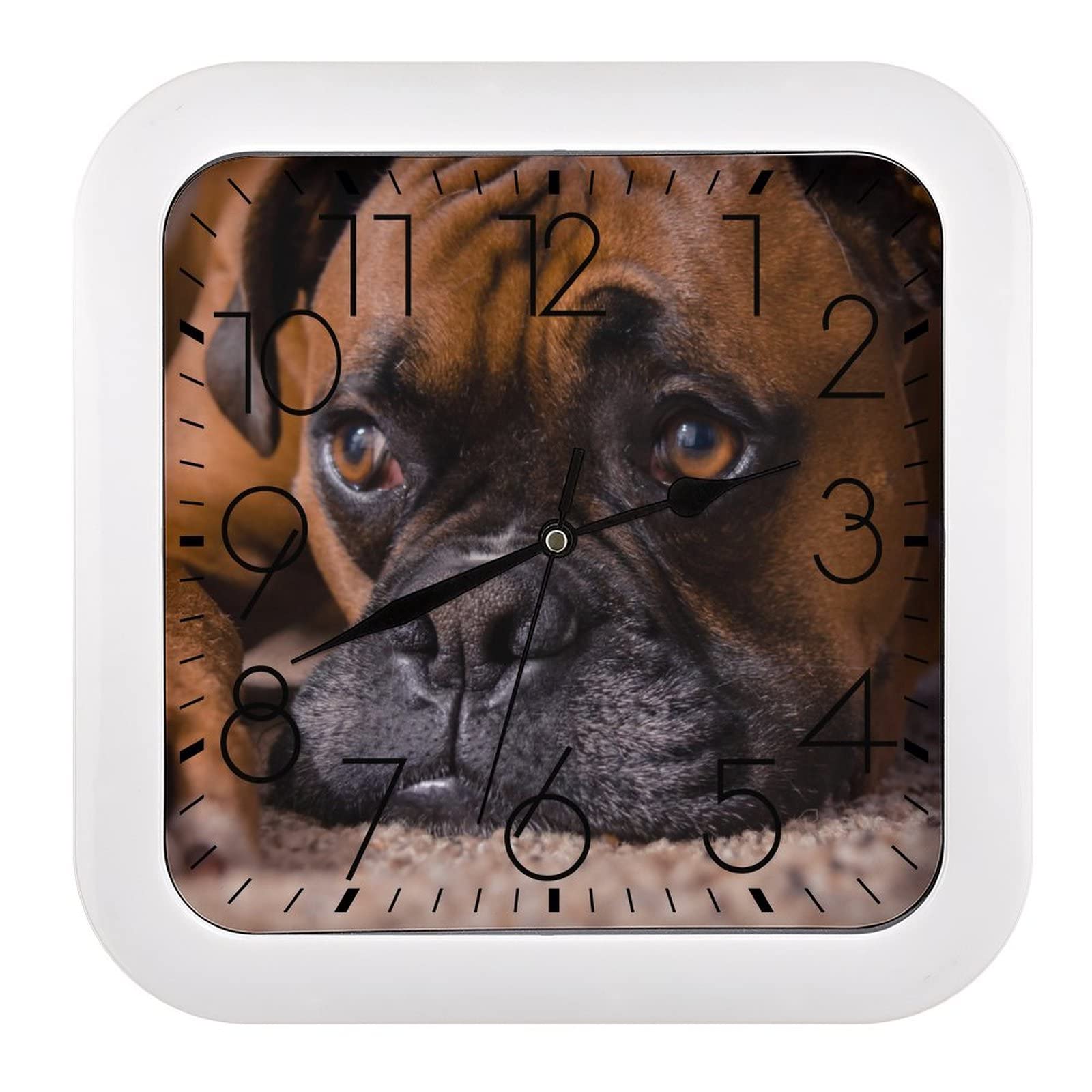 Pendule murale silencieuse bulldog moderne 26cm sans bruit pour bureau