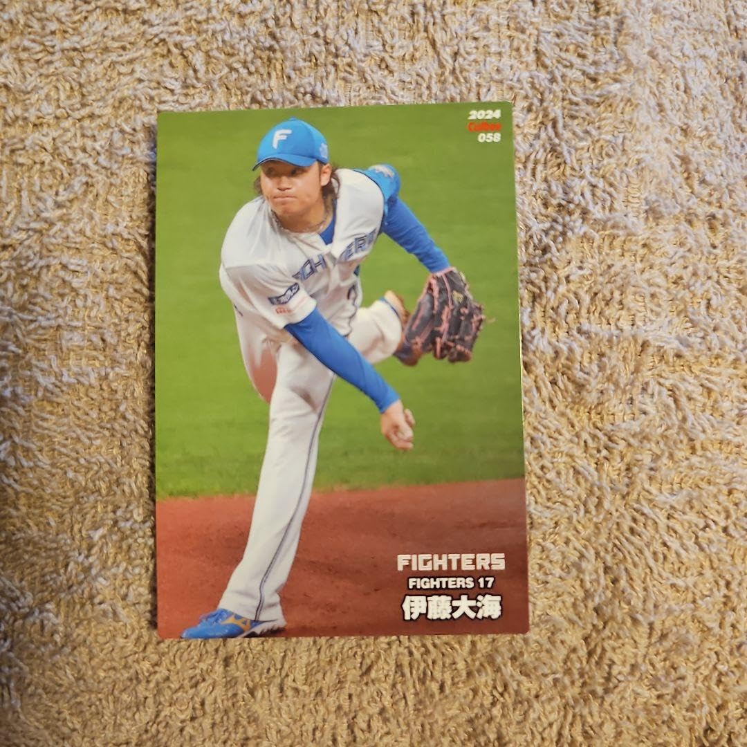 Amazon.co.jp: カルビープロ野球チップス2024 伊藤大海 エラーカード