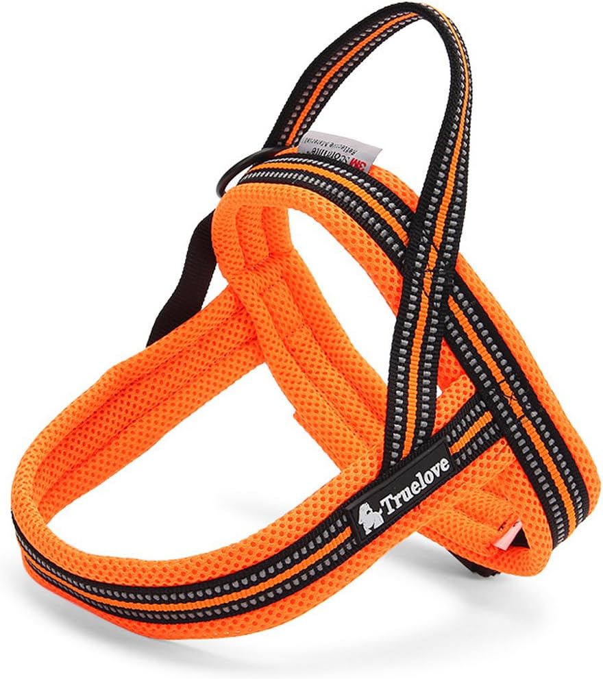 attrezzatura da caccia per cani