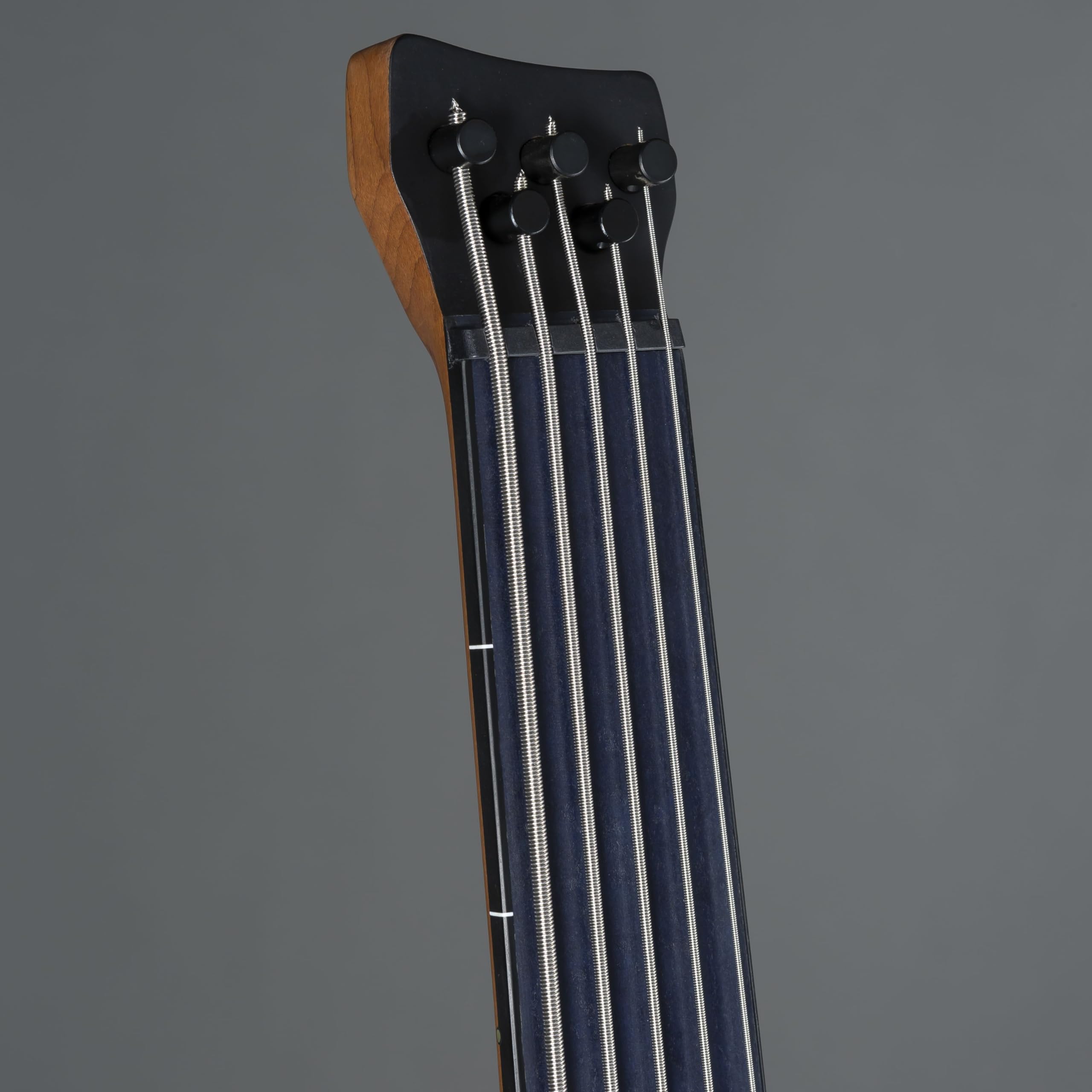 Amazon.com: Ibanez Standard EHB1005F Fretless 5-string Bass Guitar