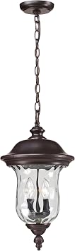 Z-Lite 533CHM-RBRZ Armstrong Outdoor Chain Light, Aluminum Frame, Bronze Finish and Clear Water Glass Shade of Glass Material