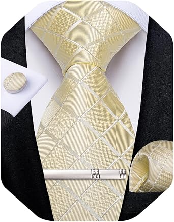 DiBanGu Mens Silk Plaid Tie and Pocket Square Set