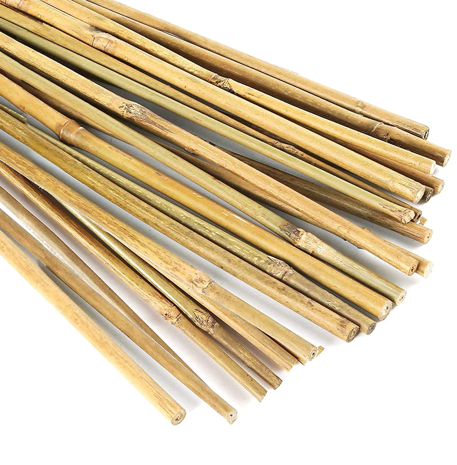 MNSS Yellow Poles 20 Piece Green Bamboo Poles Sticks for All Kinds Live Plants 18 Inch Bamboo Stakes for Indoor Gardening Plant Supports Stakes for Indoor & Outdoor Plants, Potted, Tomato Plants (B0B25S8ZJ8) Amazon Price History, Amazon Price Tracker