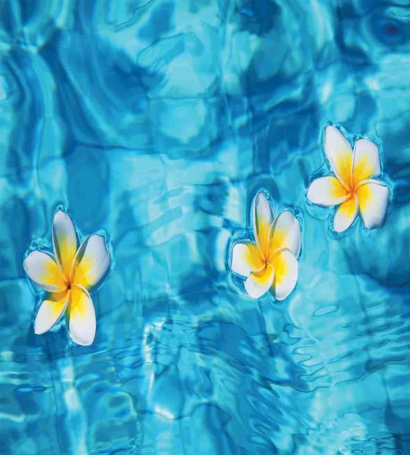 Ambesonne Hawaiian Duvet Cover Set, Tropical Frangipani Flower Floating in Water Pool Summertime Ecofriendly, Decorative 2 Piece Bedding Set with 1 Pillow Sham, Twin Size, Blue Yellow Twin Blue Yellow