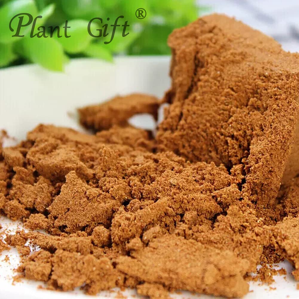 Plant Gift 100% Ziziphus Jujuba Kernel Powder 100G/3.25oz 酸枣仁粉, Nicht-GVO-Pulver, Maisgrieß, keine Füllstoffe, keine Zusatzstoffe, natürliches Zitronenmehl, toller Geschmack für Getränke