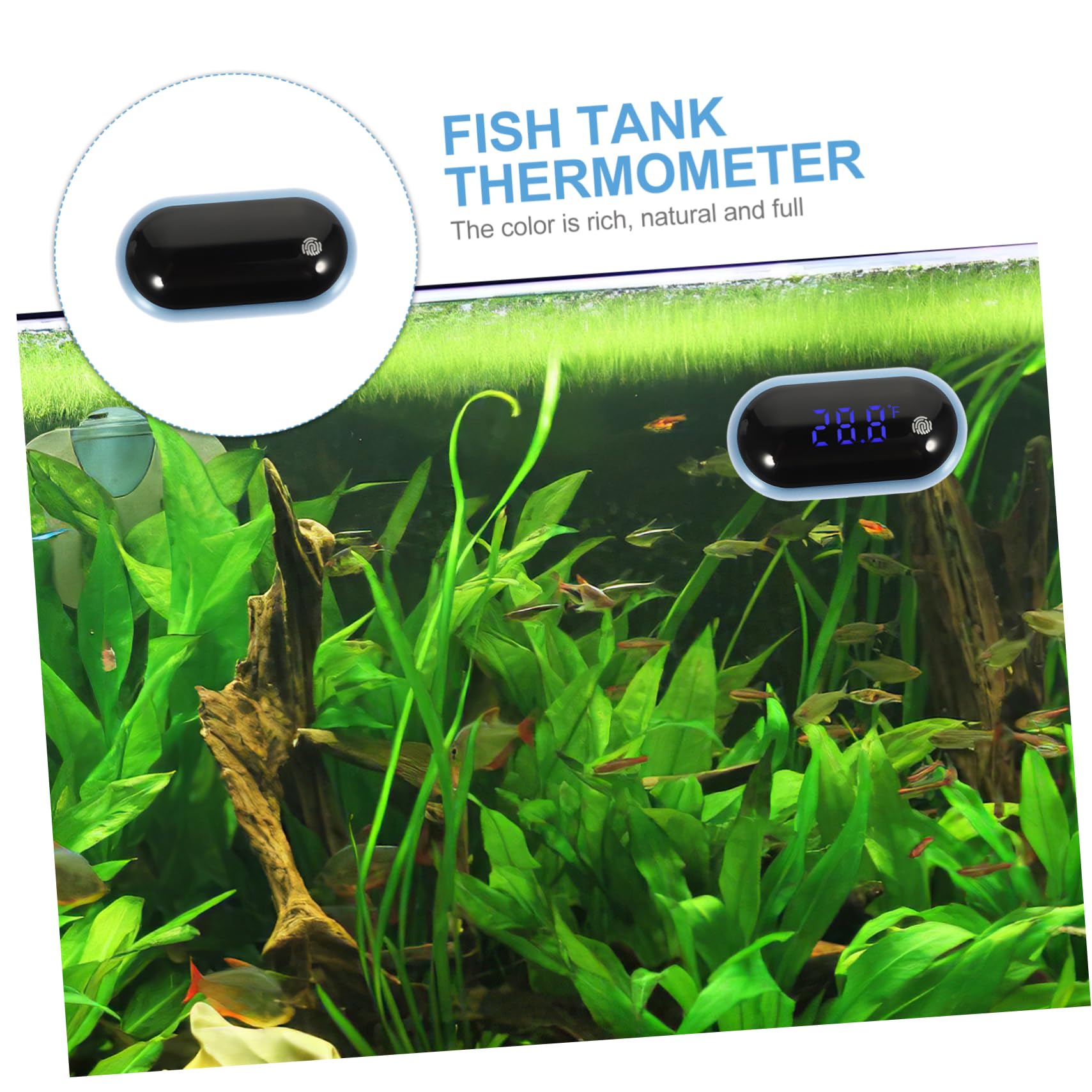 Sosoport 3stücke Professionelles Aquariumthermometer Mit Großem -display Tragbar Und Hochpräzise Für Aquarien Und Teiche Einfache Handhabung Energiesparend Und Langlebig