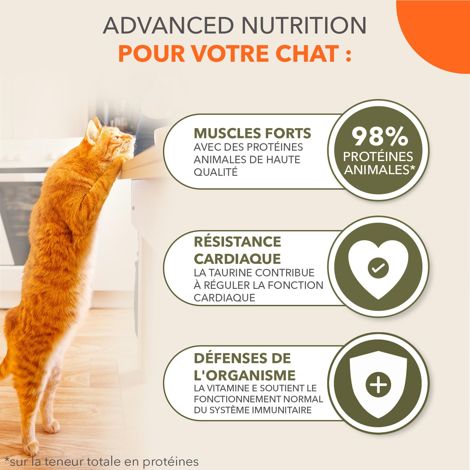 IAMS Delights Land Collection Nourriture Humide pour Chat sans céréales – Multipack avec Viande, variétés en Sauce, Nourriture Humide sans céréales pour Chats à partir de 1 an, 12 x 85 g