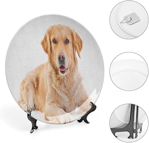Miniatura 4 de Plato decorativo de 7 pulgadas, plato de vajilla Golden Retriever, diseño de cachorro de pedigrí joven, dulce perro bebé, decoración de pared de