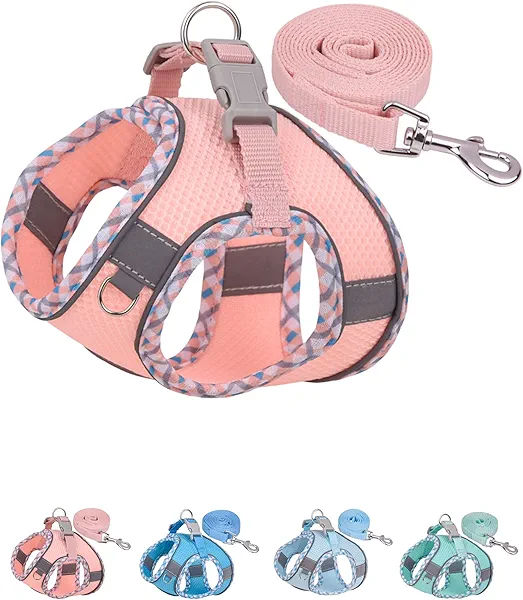 Petank Dog Harness for Small Medium Dogs No Pull, Puppy Harness and Leash Set, Step in Dog Harness for Walking, Running, Training, Small Dog Vest (Pink, XXS)