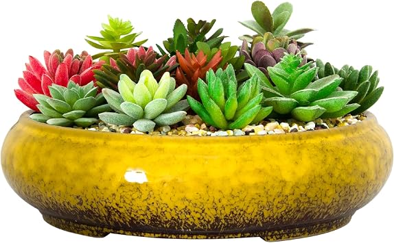 ARTKETTY Succulent Pots - 11.5 Inch Ceramic Bonsai Pots with Drainage