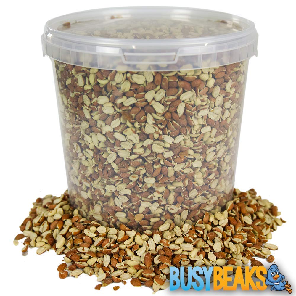 BusyBeaks Split Peanuts | Premium Quality Fresh Feed | Garden Wild Bird Nut Food | Aflatoxin Free Mix | Protein Rich, High in Energy Mixture | Holds Nutritious Vitamins and Essential Oils (5L Tub)
