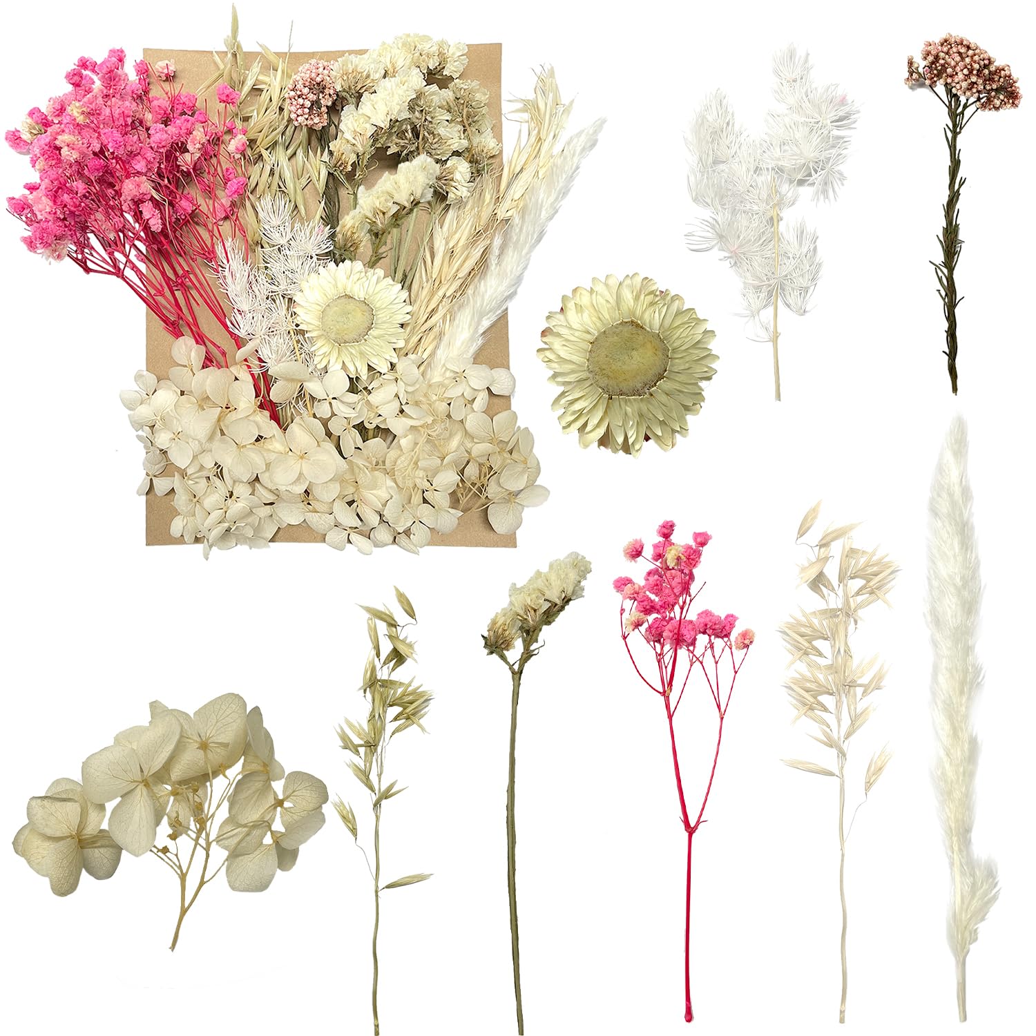Dried & Pressed Flowers - Crafts for DIY Arts Resin, Scrapbooking, Jewelry Making & Floral Decorations (Pink & White)