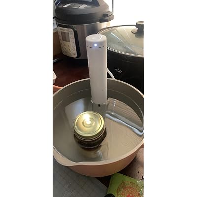 Buy Breville CS20001 Joule Sous Vide 
