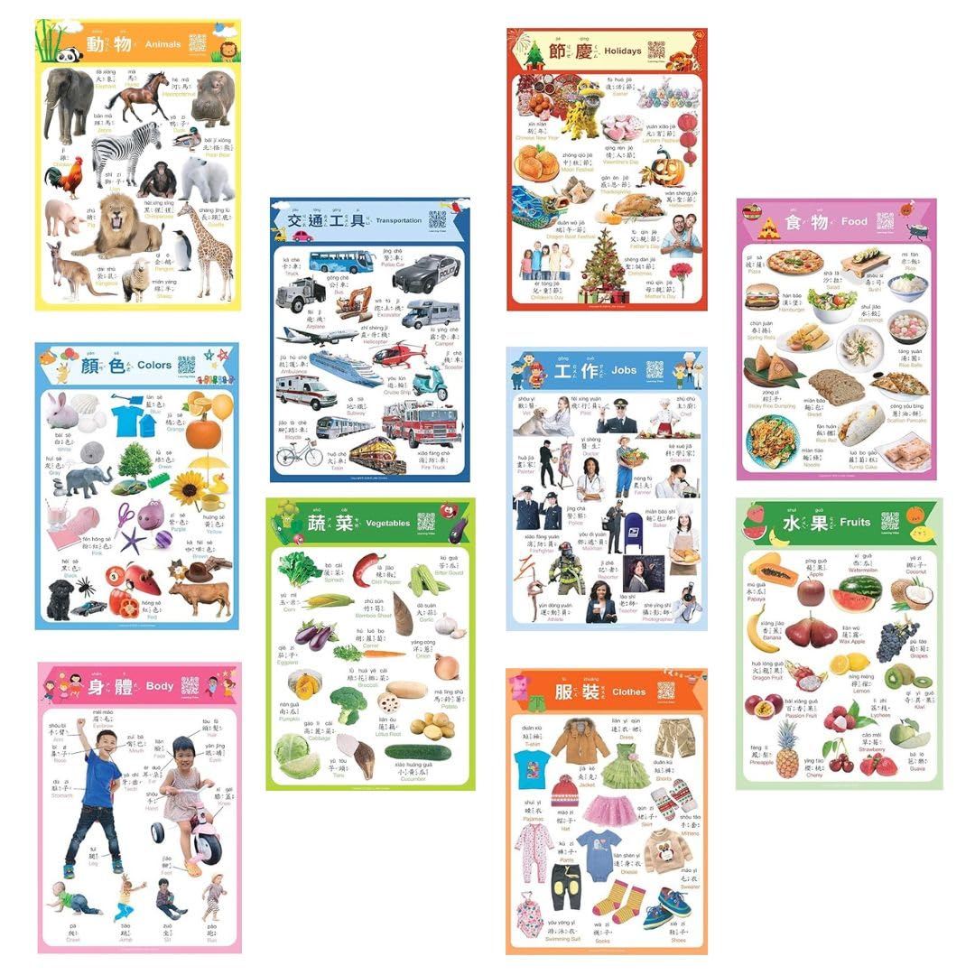 Amazon.com: N/A/ Chinese Learning 10-Poster Set for Kids