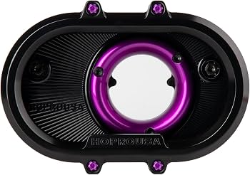 Amazon.com: Hoprousa Air Cleaner Compatible with '18-24 Harley