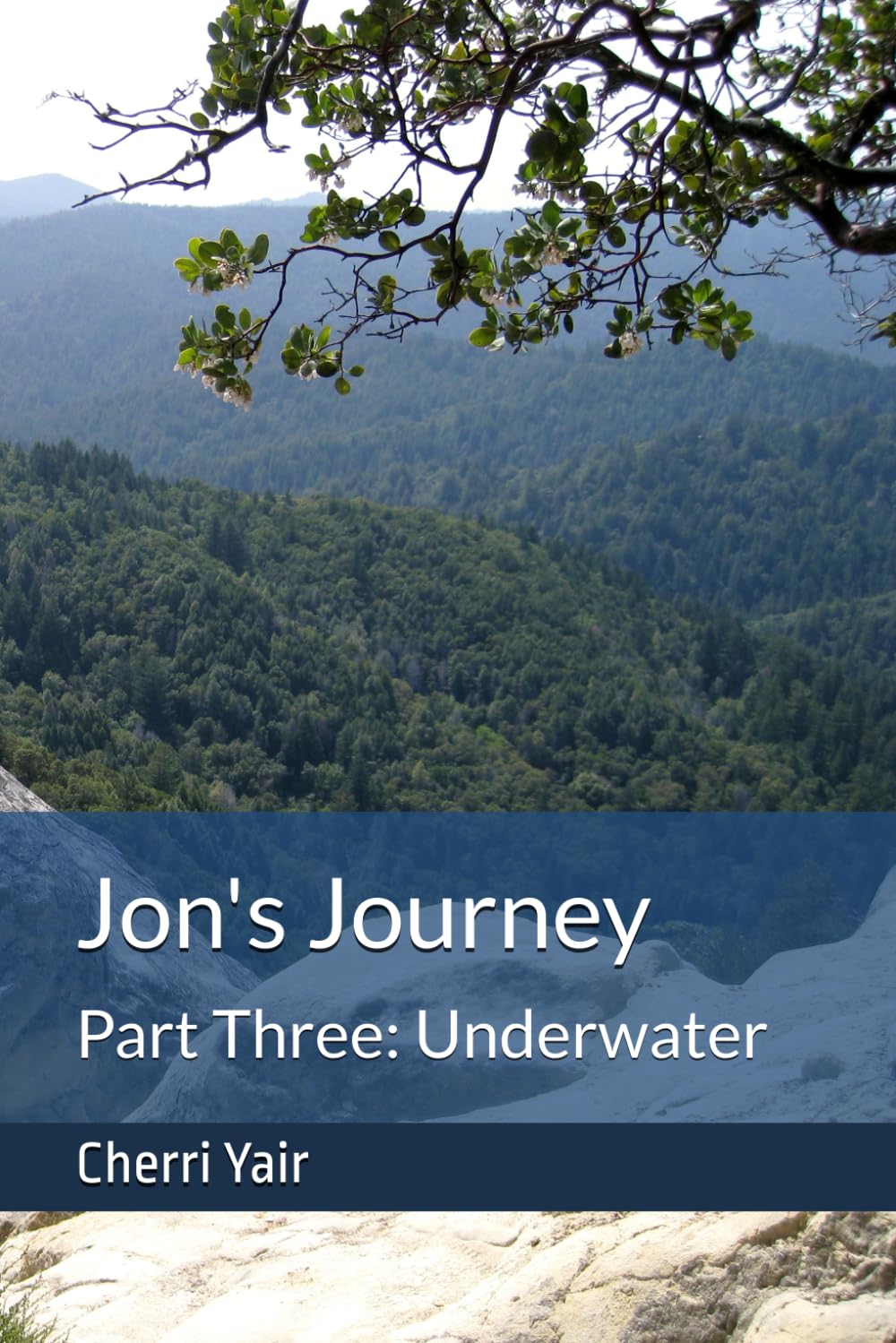 Jon's Journey: Part Three: Underwater
