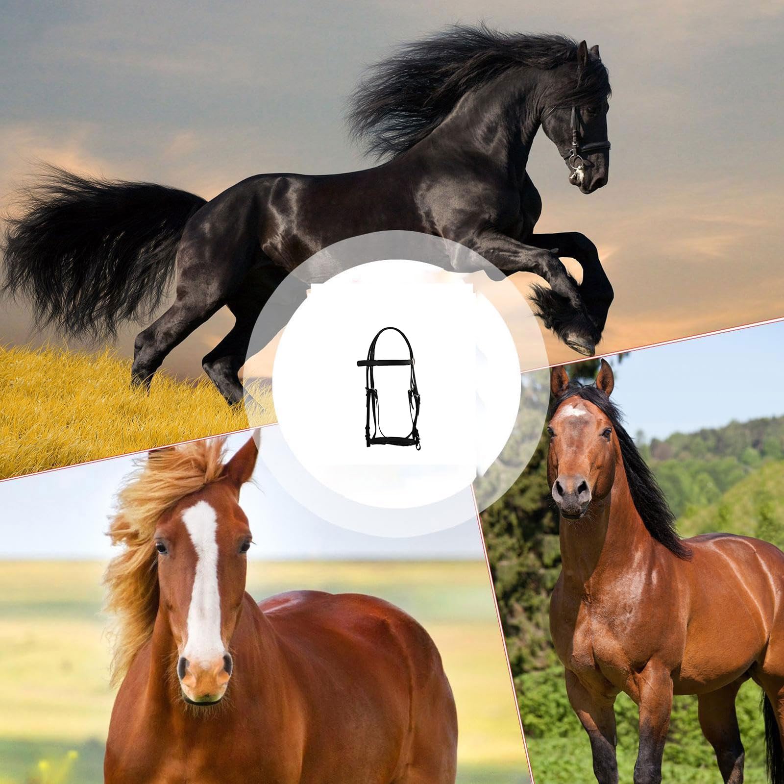 Briglia Cavallo,testiera cavallo,Leadrope,Cavezza di sicurezza in corda Ranch,capezza Imbottita per Naso e Collo,testiera Leggera Regolabile ,accessori equestri per addestramento cavallo
