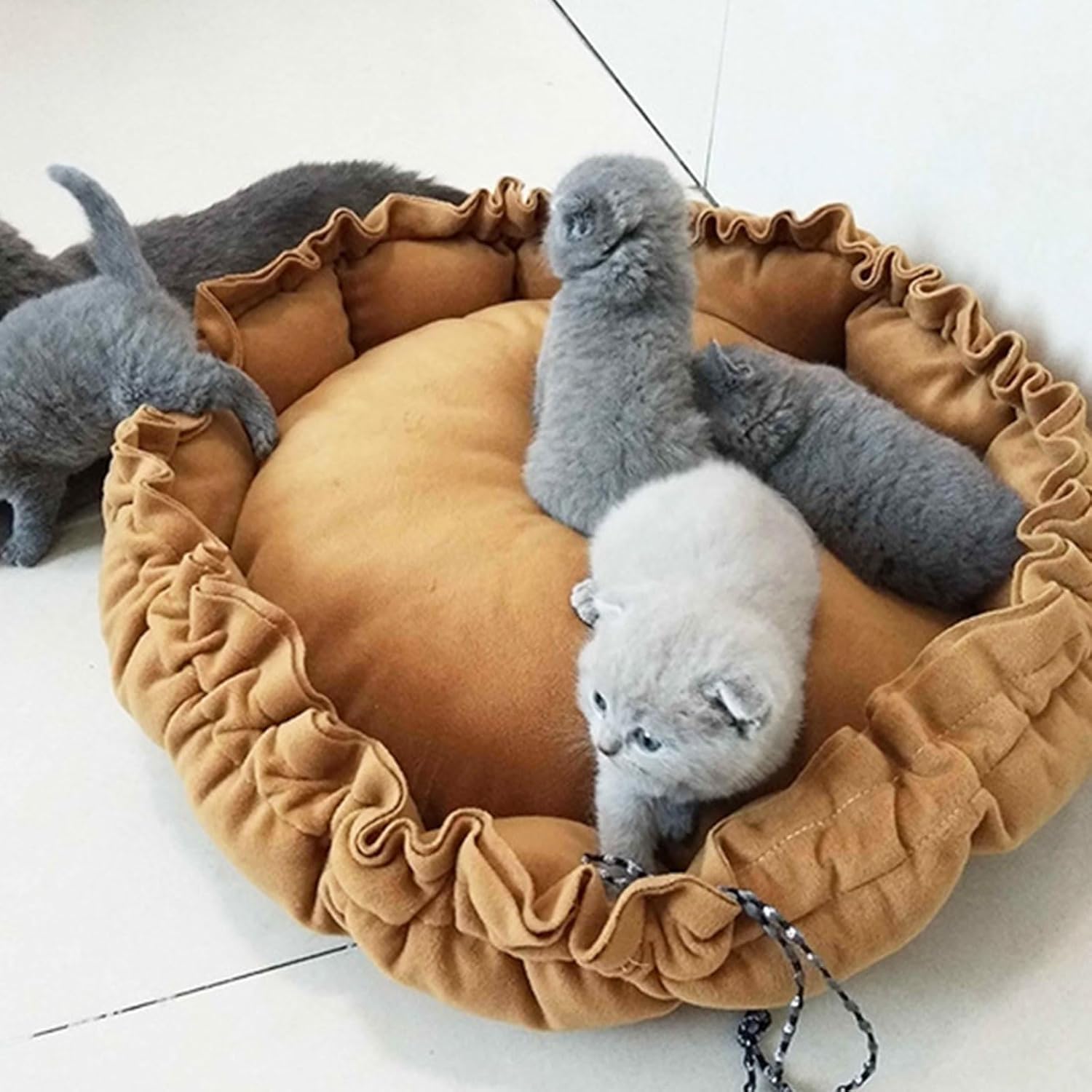 review Round Cat Bed Sleeping Bed Dog Cat Winter House Drawstring Pet Mat for Kitten Puppy Sleeping Supplies