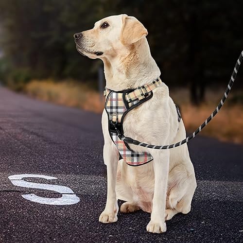 Miniatura 4 de IVY&LANE Arnés sin tirones para perros grandes, arnés de chaleco reflectante de 360 con 2 clips para correa, 3 hebillas a presión, chaleco acolchado