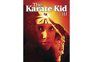 The Karate Kid III: Martial Arts Mastery Made Accessible