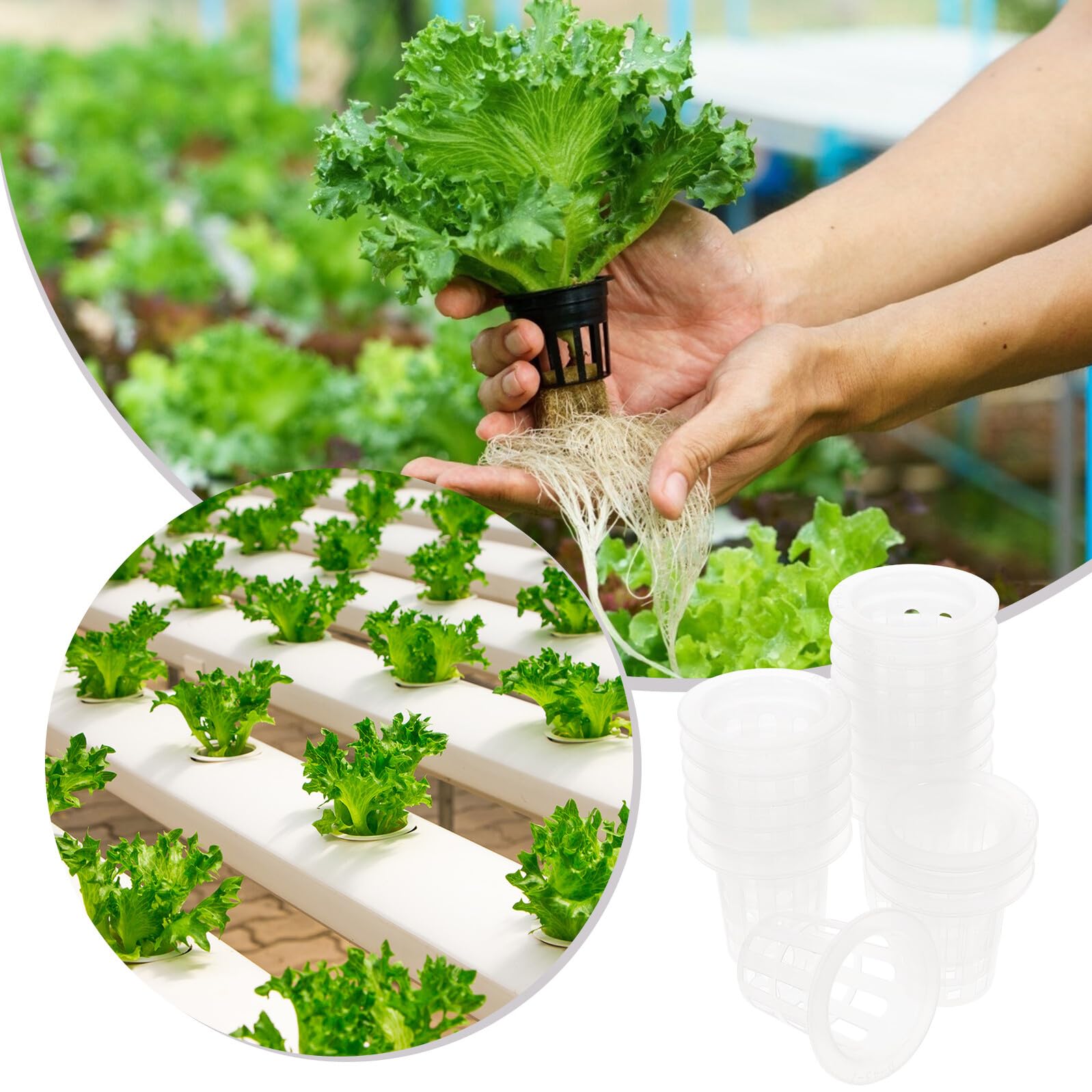 SUPVOX 100 pièces Lot de Paniers de Culture Hydroponique PP Durables Godets Semis Pratiques pour Légumes Fruits et Fleurs Structure Aérée pour Racines Solides et Résistants