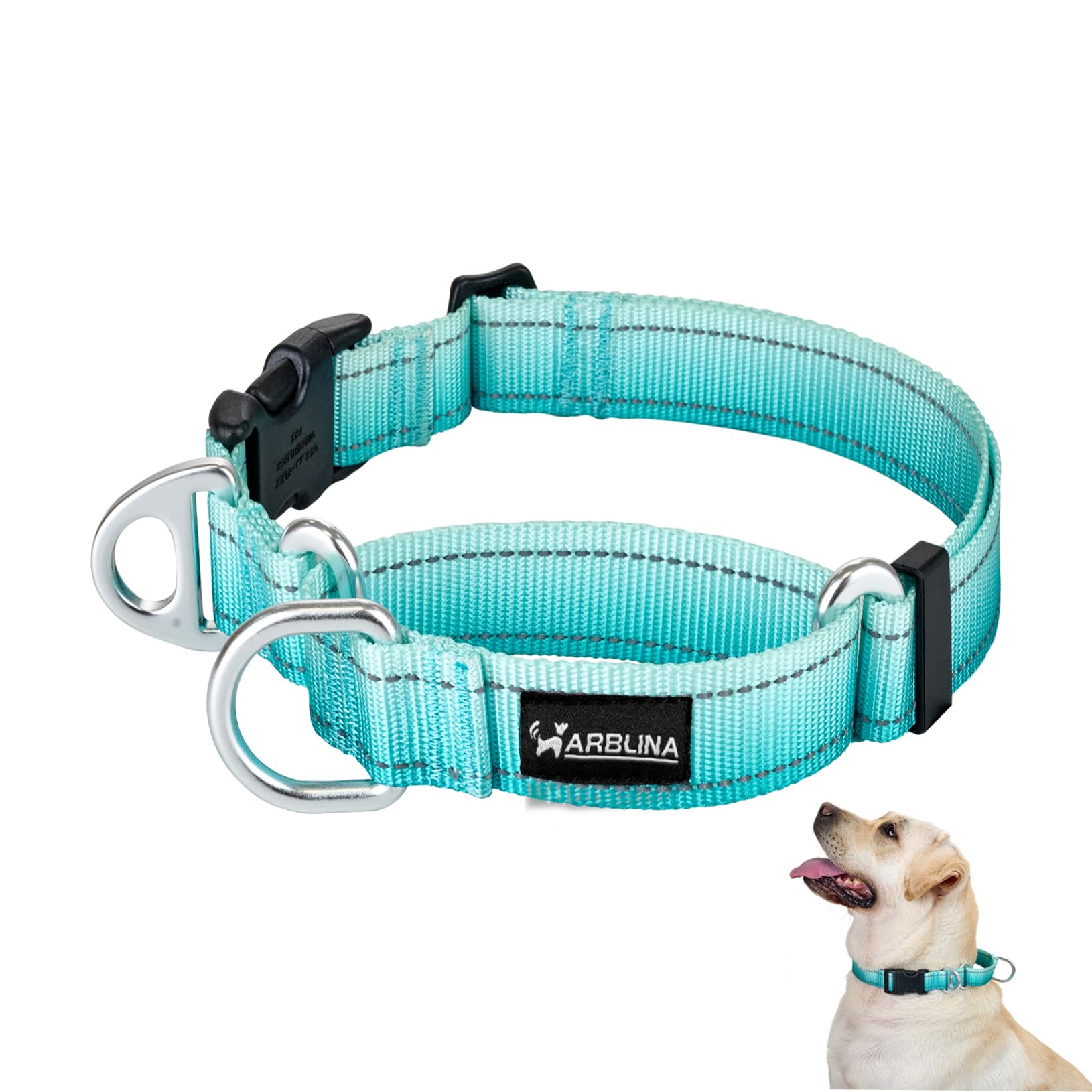 Arblina Martingale Halsband, Reflektierendes Zugstopp Halsband Hunde für Große Mittlere und Kleine Hunde, Nylon Hundehalsband Anti Zug, Anti-Pull Collar for Dogs, Türkis, L